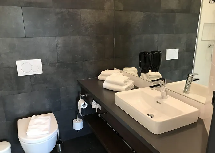 فندق Donauhof 4*